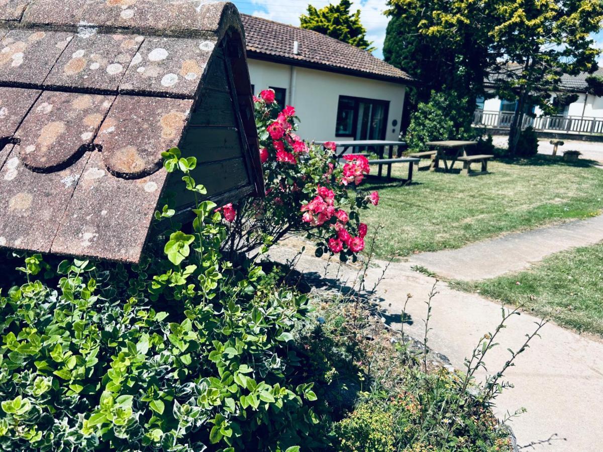 Kinetic Stays - Serenity Holiday Cottages 시드머스 외부 사진